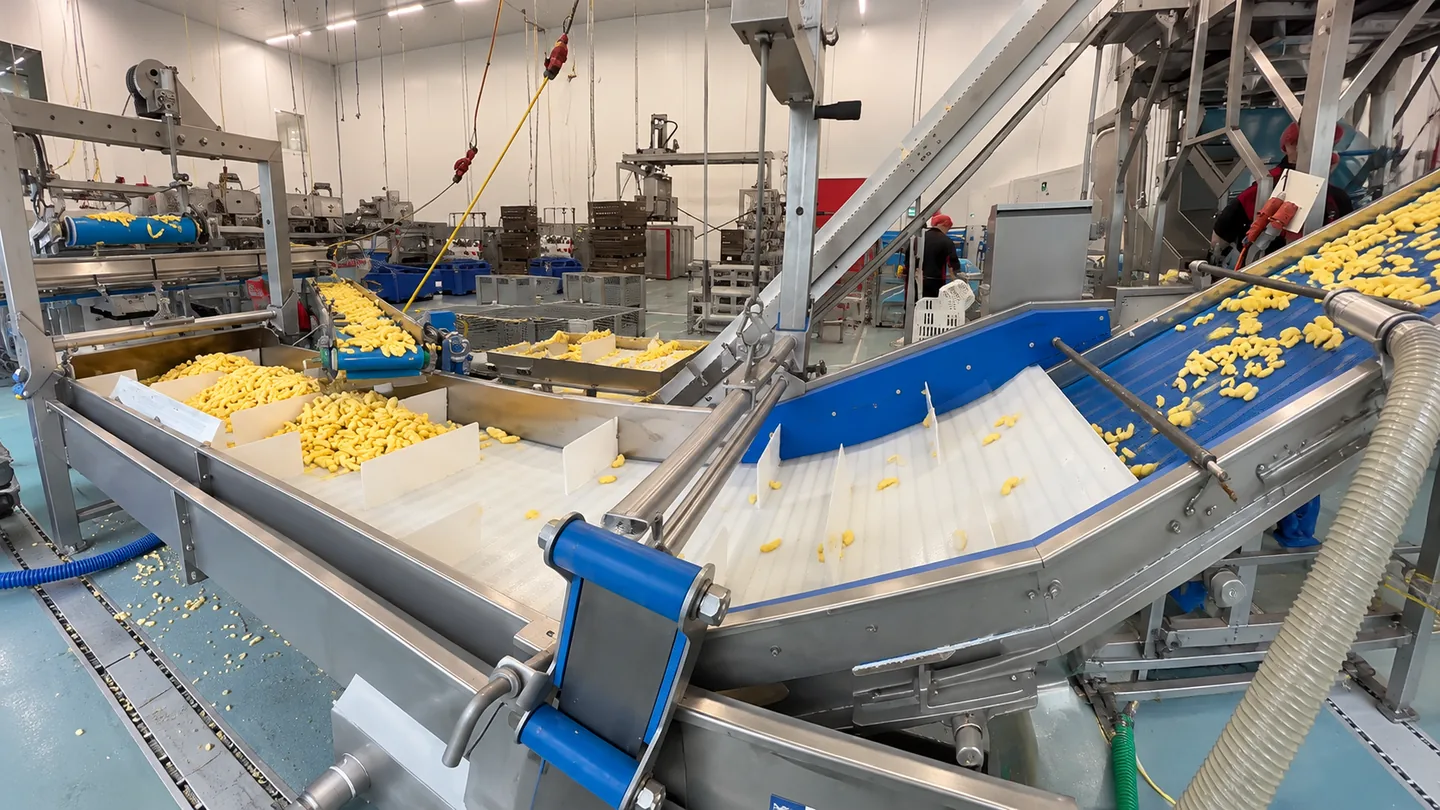 Surface Water Removal on Fresh-Cut Apple Lines