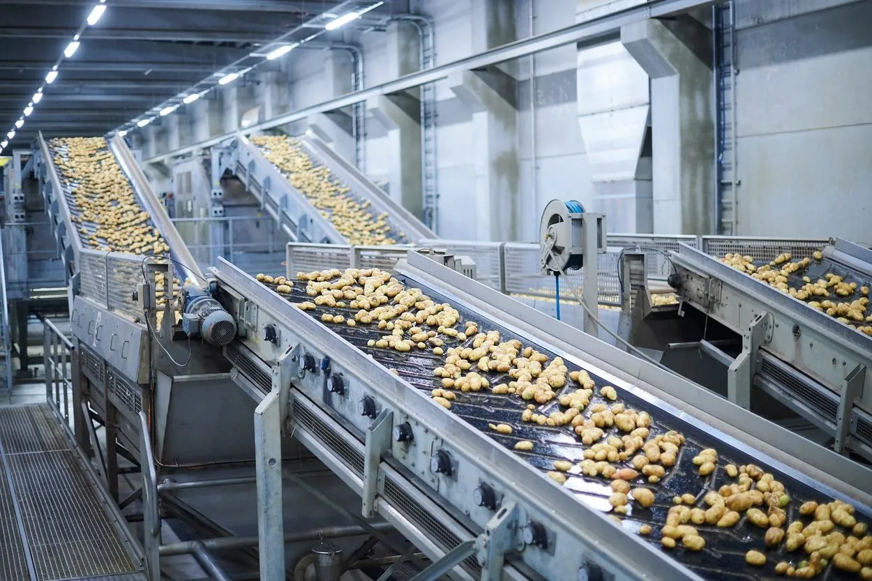 Post-Wash Drying on Potato Lines